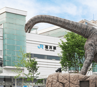 福井